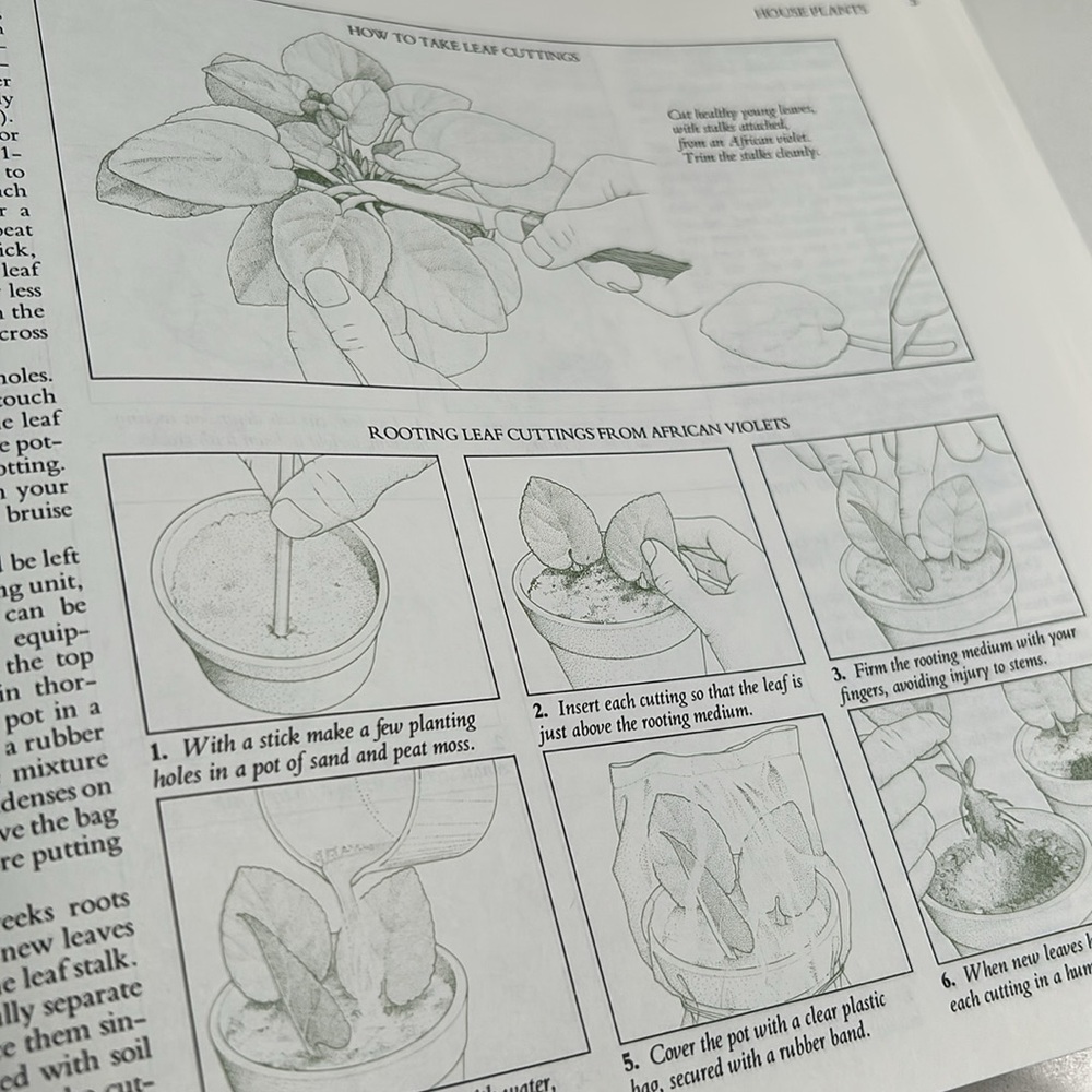 Vintage 1979 Reader's Digest Illustrated Guide to Gardening in Canada Book - Picture 11 of 16